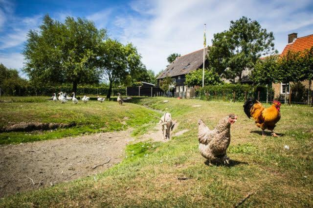Vakantiewoning - Kon. Emmaweg 26 | Vrouwenpolder 'Uitspanning Oranjezon' 外观 照片