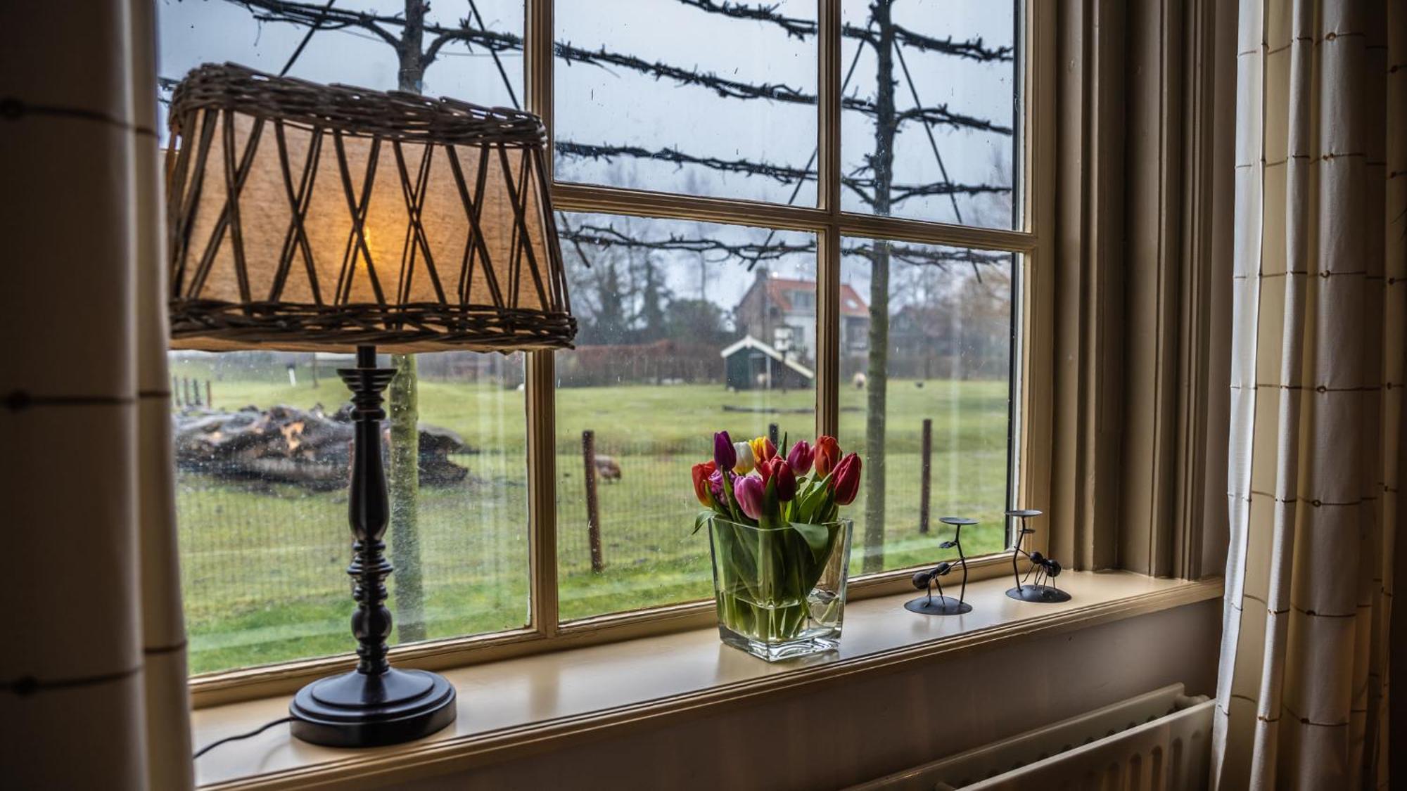 Vakantiewoning - Kon. Emmaweg 26 | Vrouwenpolder 'Uitspanning Oranjezon' 外观 照片